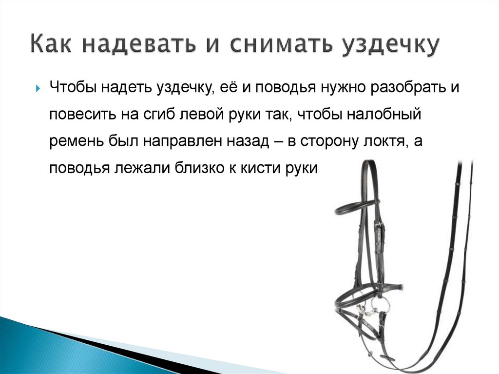 Как надевать и снимать уздечку