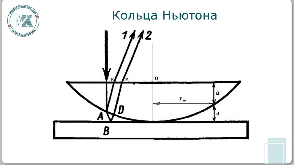 Кольца Ньютона
