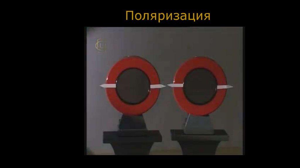 Поляризация