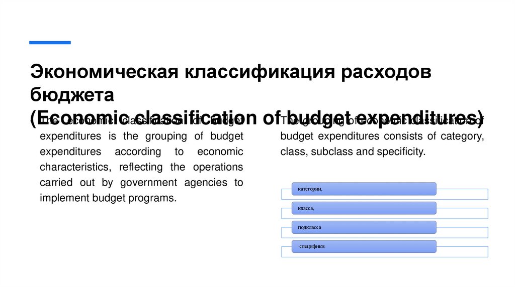 Экономическая классификация расходов бюджета (Economic classification of budget expenditures)