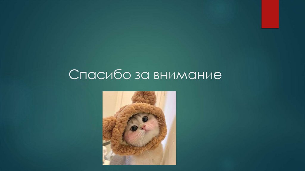 Спасибо за внимание