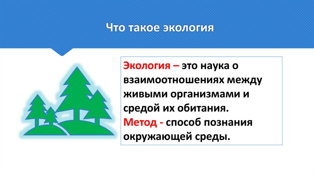 Что такое экология