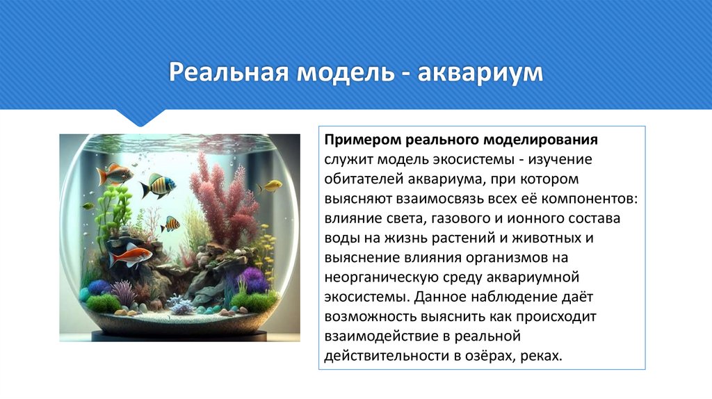 Реальная модель - аквариум