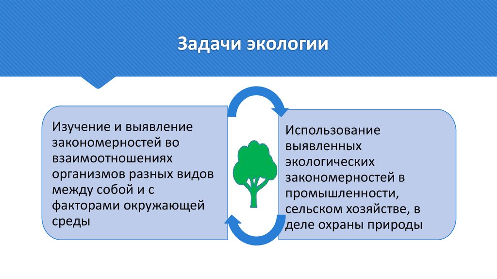 Задачи экологии