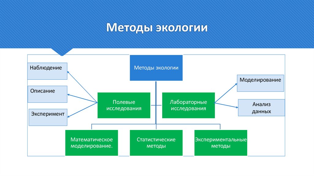 Методы экологии