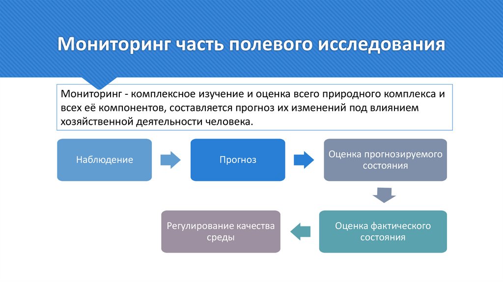Мониторинг часть полевого исследования