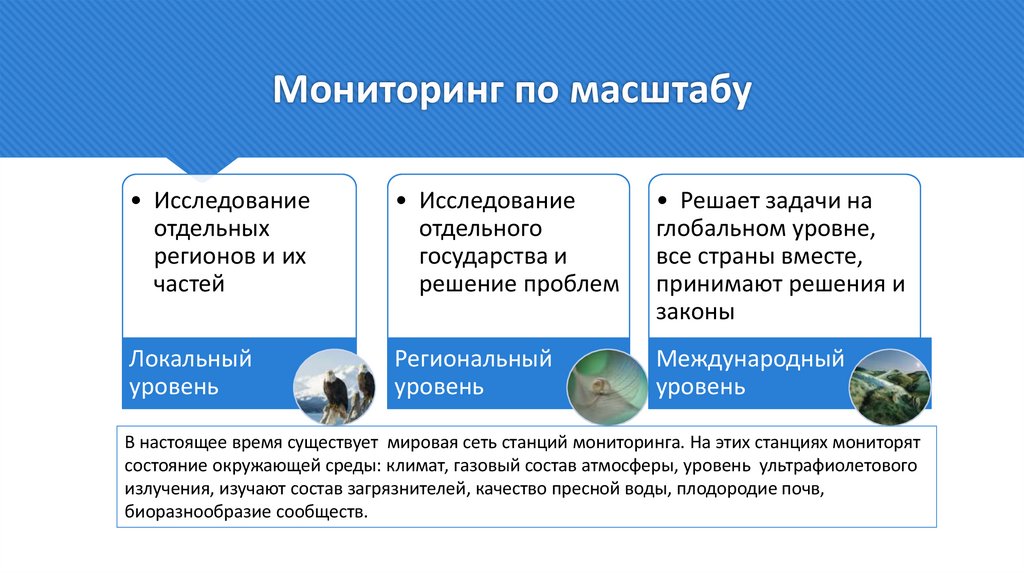 Мониторинг по масштабу
