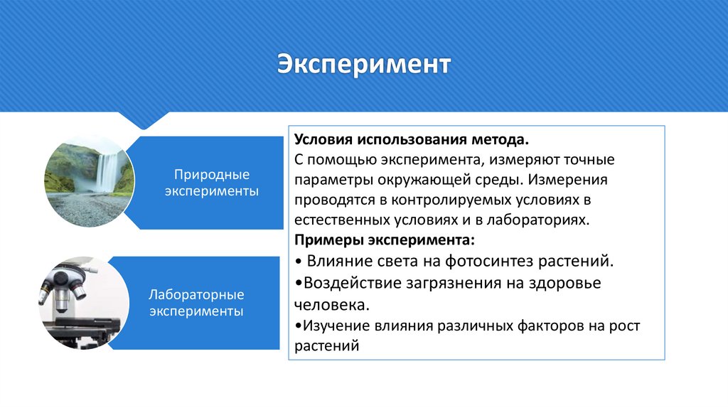 Эксперимент