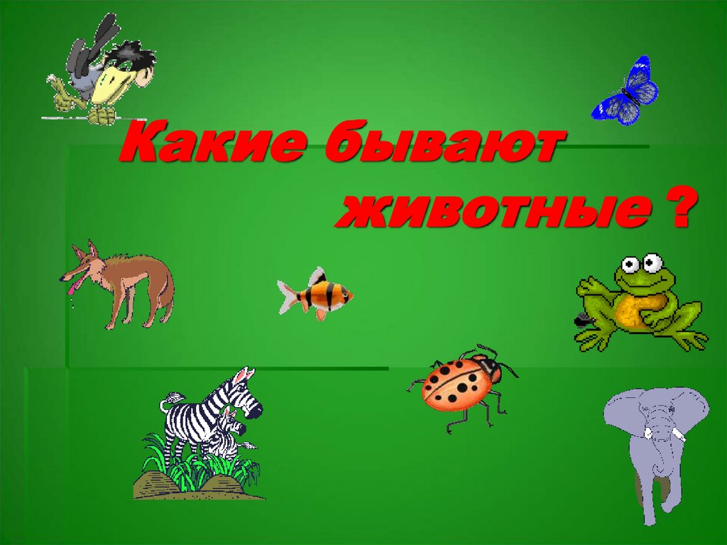 Какие бывают животные ?