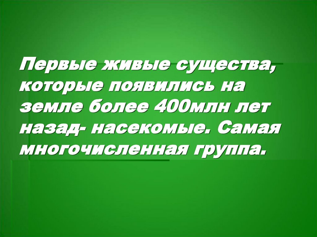 Первые живые существа, которые появились на земле более 400млн лет назад- насекомые. Самая многочисленная группа.