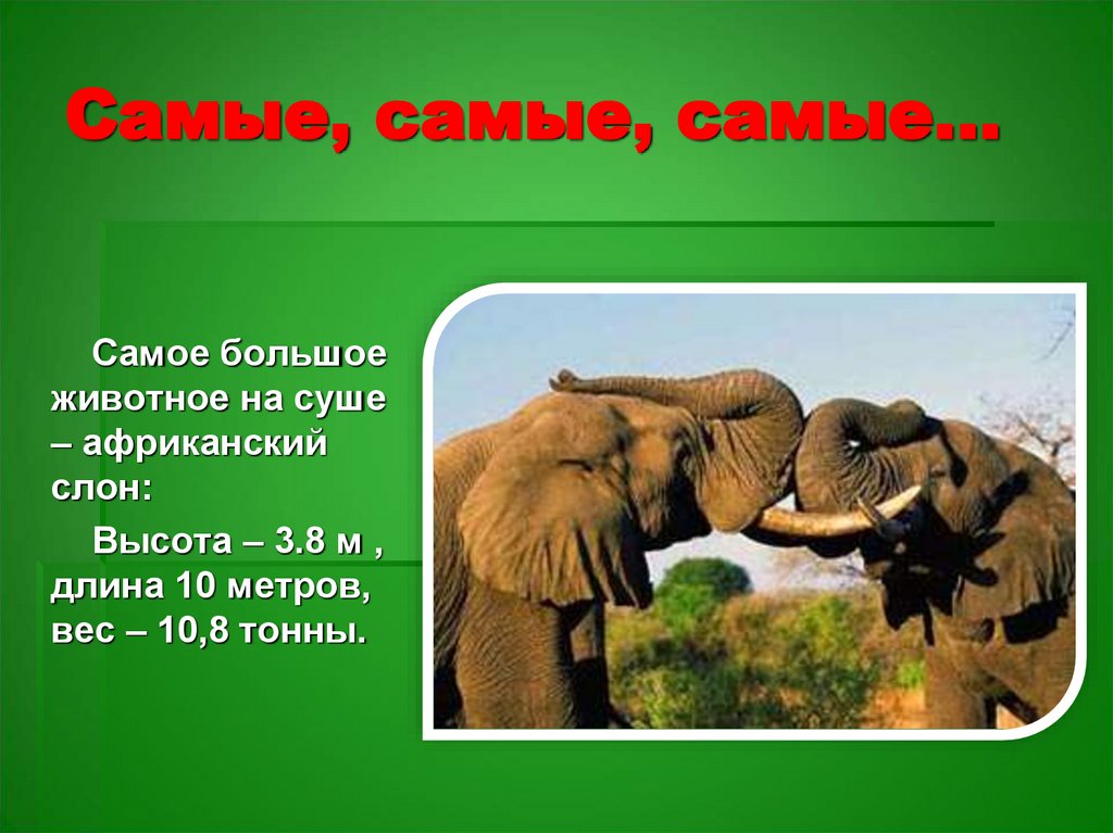 Самые, самые, самые…