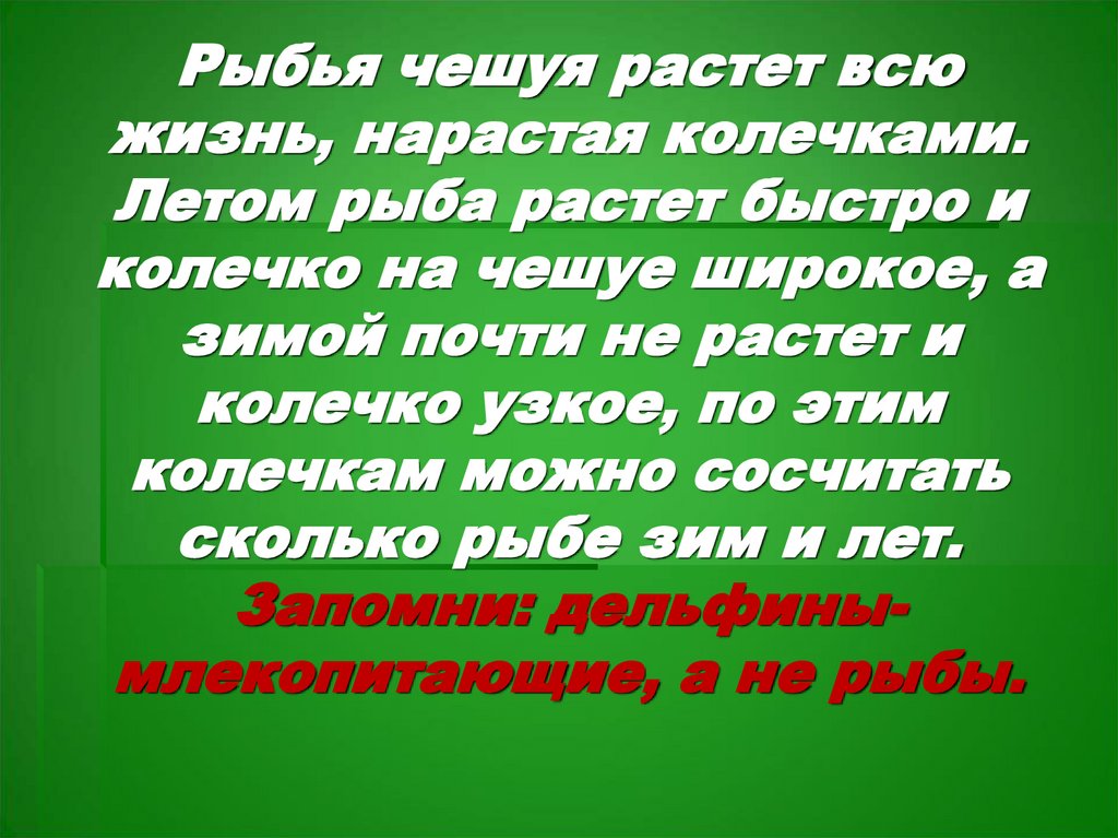Рыбья чешуя растет всю жизнь, нарастая колечками. Летом рыба растет быстро и колечко на чешуе широкое, а зимой почти не растет