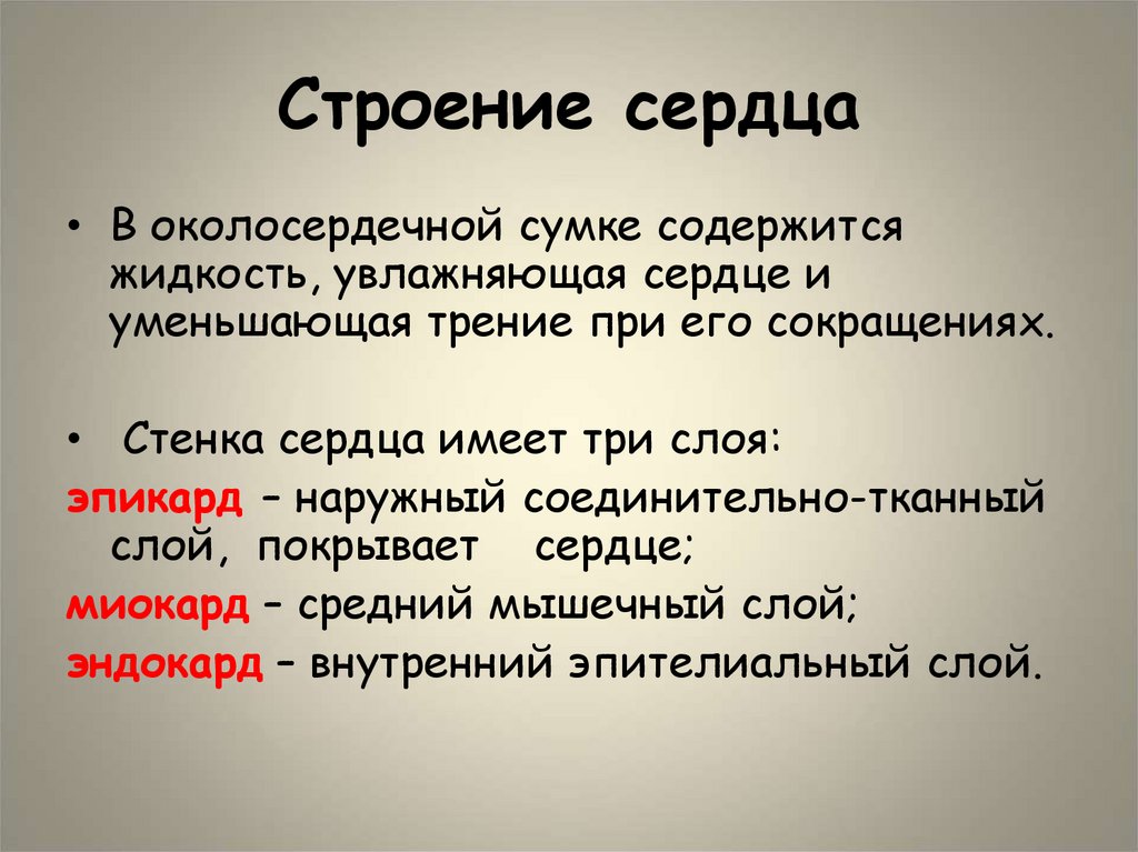 Строение сердца