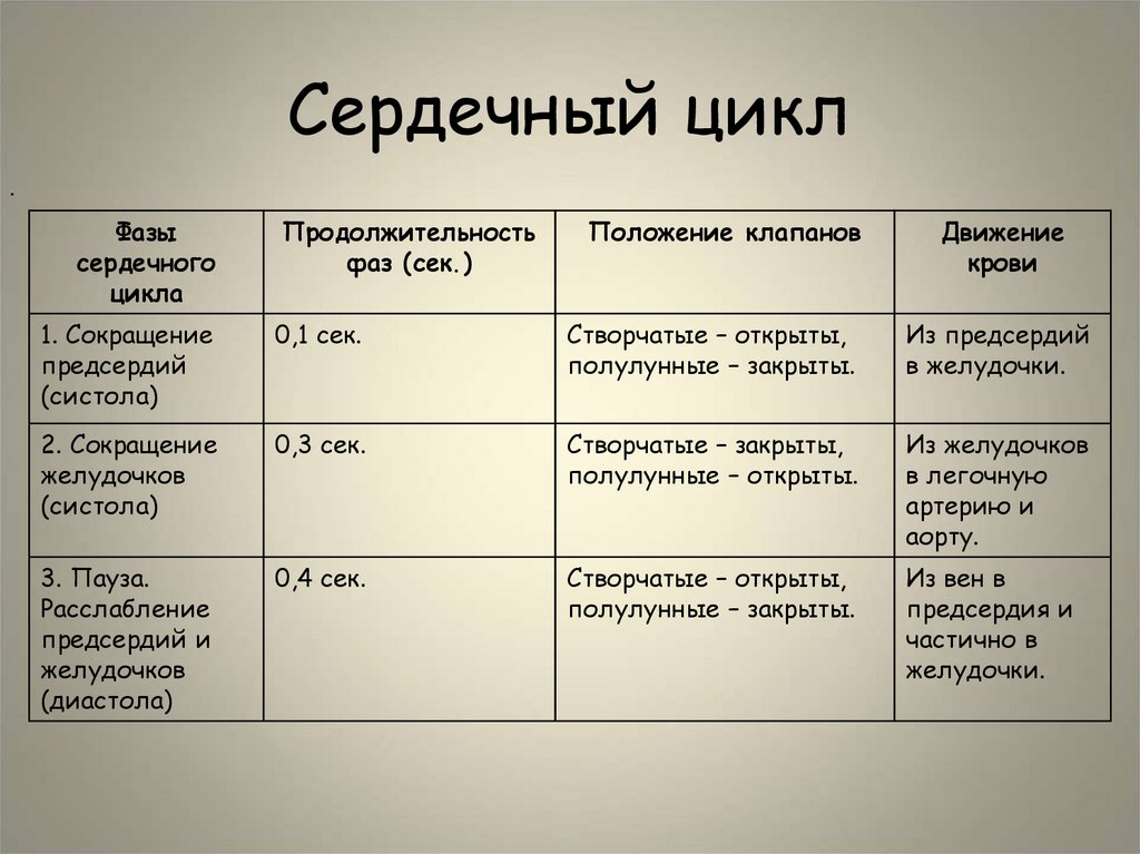 Сердечный цикл