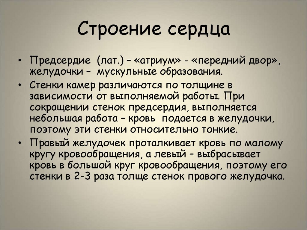 Строение сердца