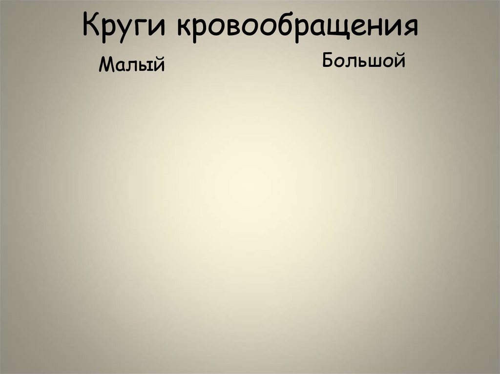 Круги кровообращения