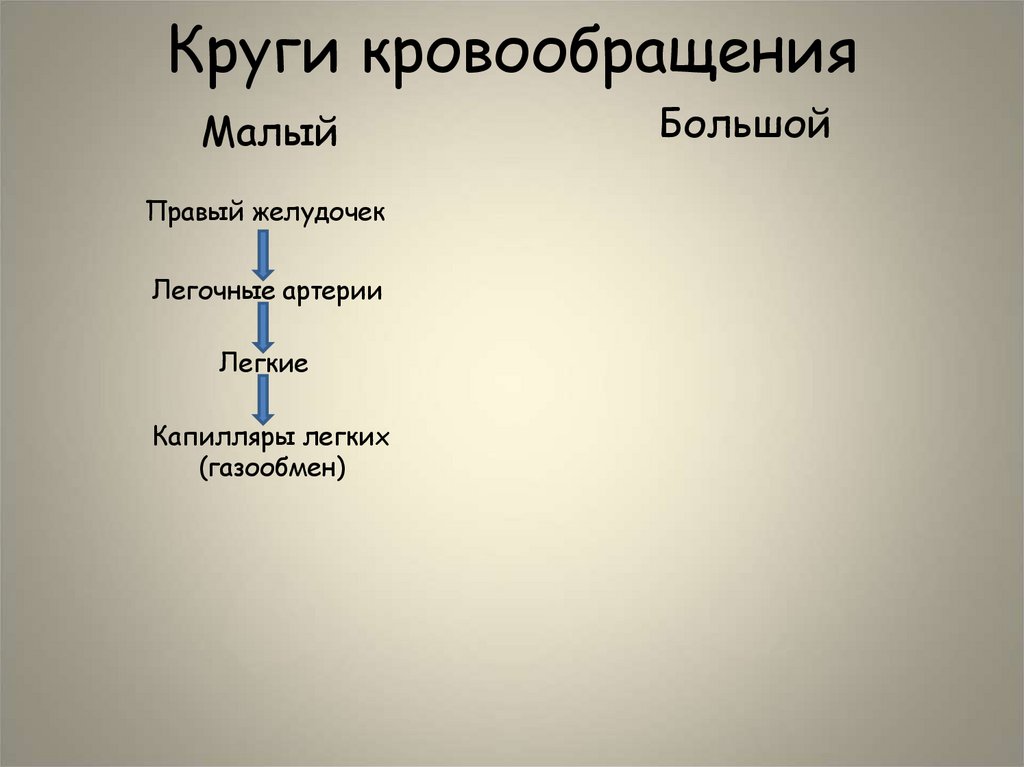 Круги кровообращения