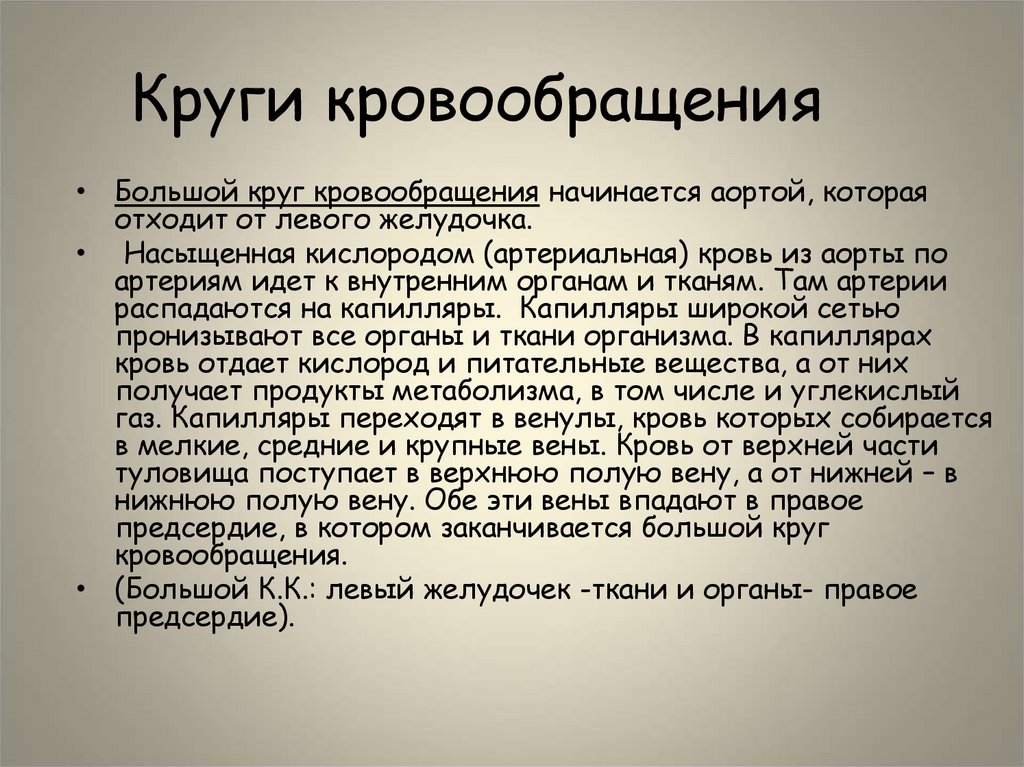 Круги кровообращения