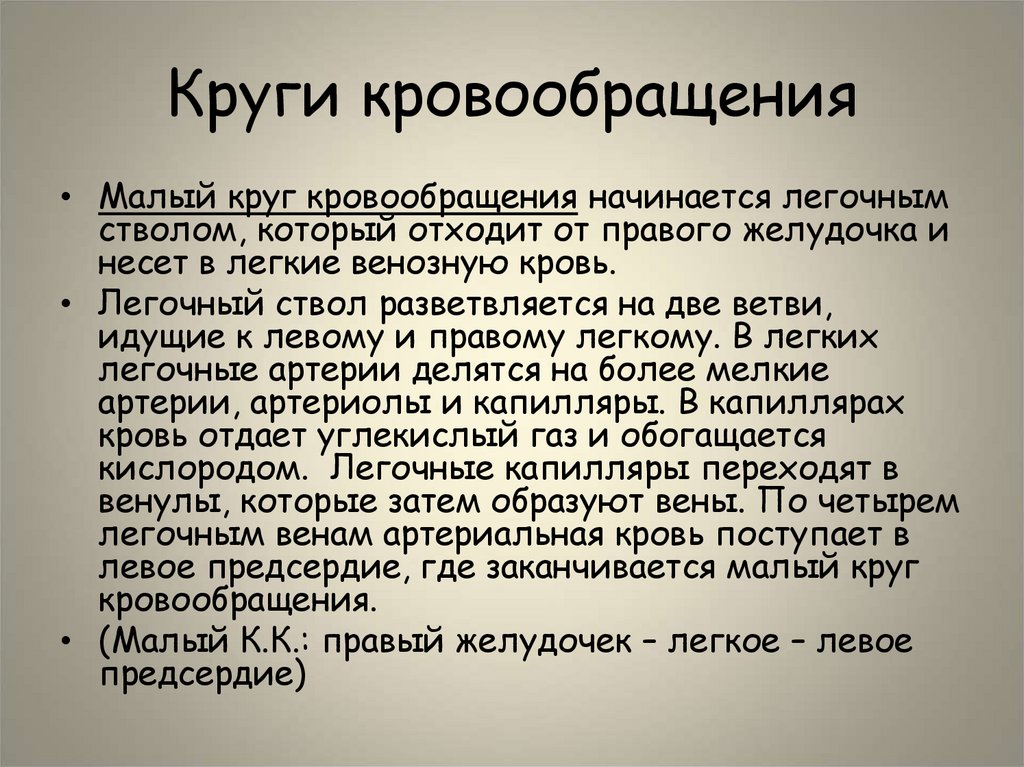 Круги кровообращения