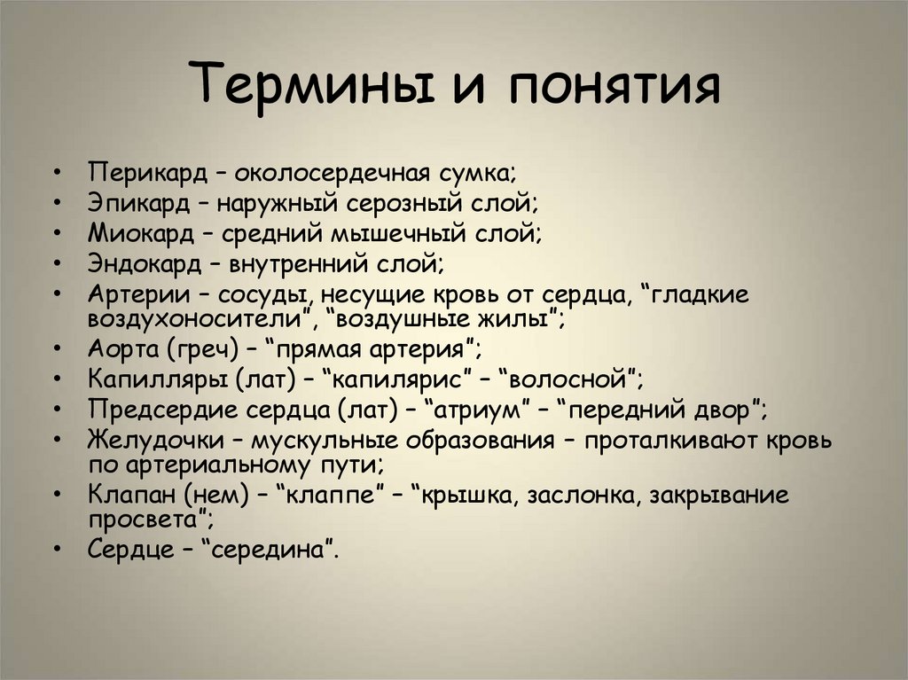 Термины и понятия