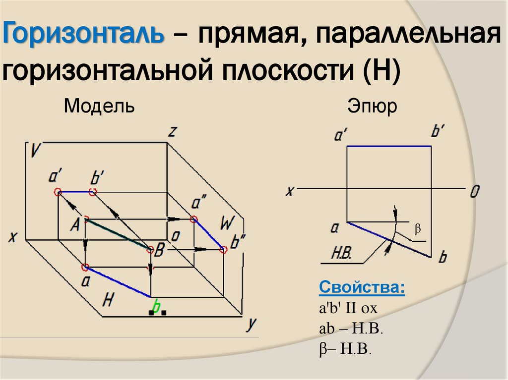Горизонталь – прямая, параллельная горизонтальной плоскости (Н)