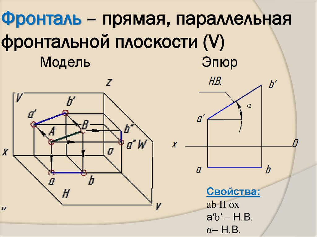 Фронталь – прямая, параллельная фронтальной плоскости (V)