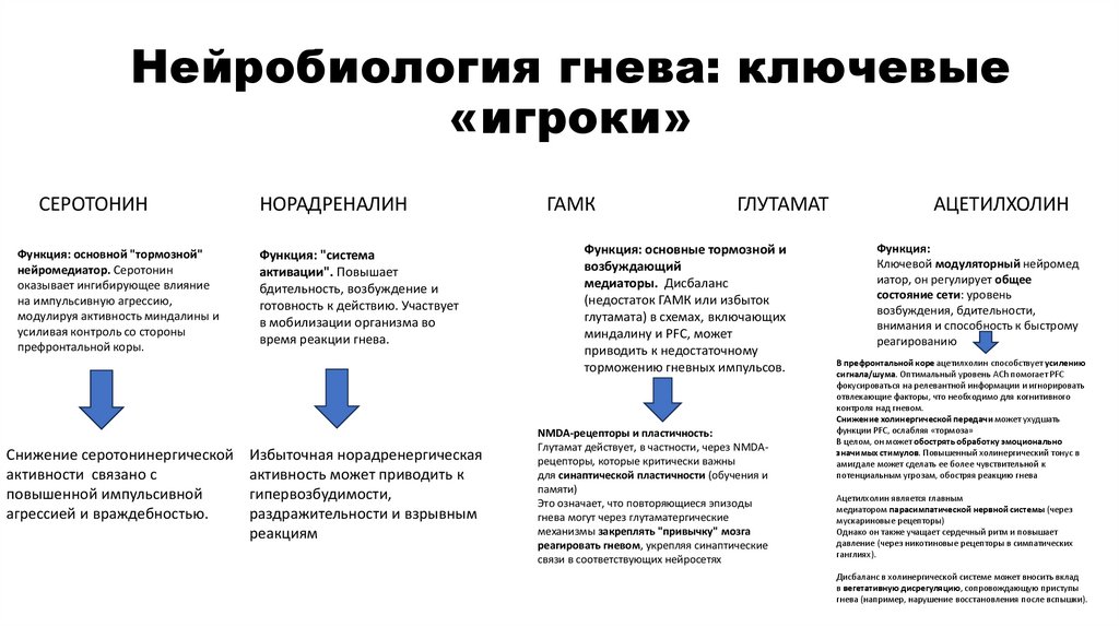 Нейробиология гнева: ключевые «игроки»