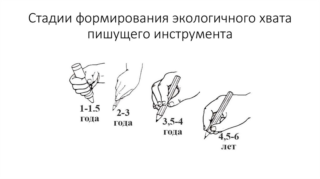 Стадии формирования экологичного хвата пишущего инструмента