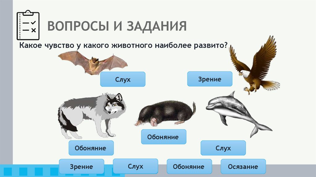 ВОПРОСЫ И ЗАДАНИЯ