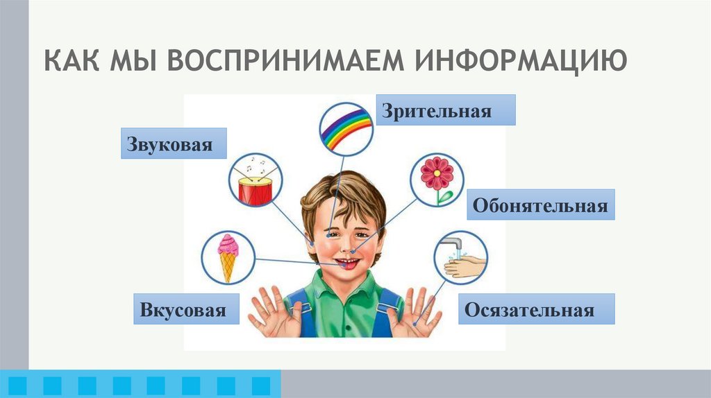 КАК МЫ ВОСПРИНИМАЕМ ИНФОРМАЦИЮ