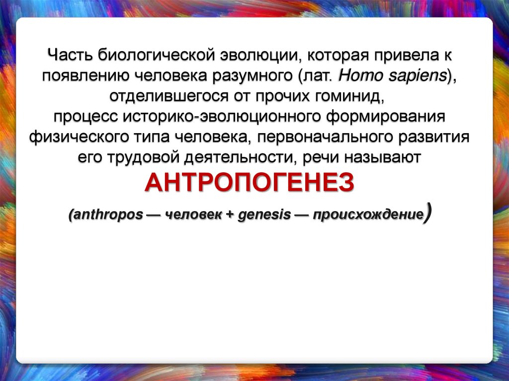 Часть биологической эволюции, которая привела к появлению человека разумного (лат. Homo sapiens), отделившегося от