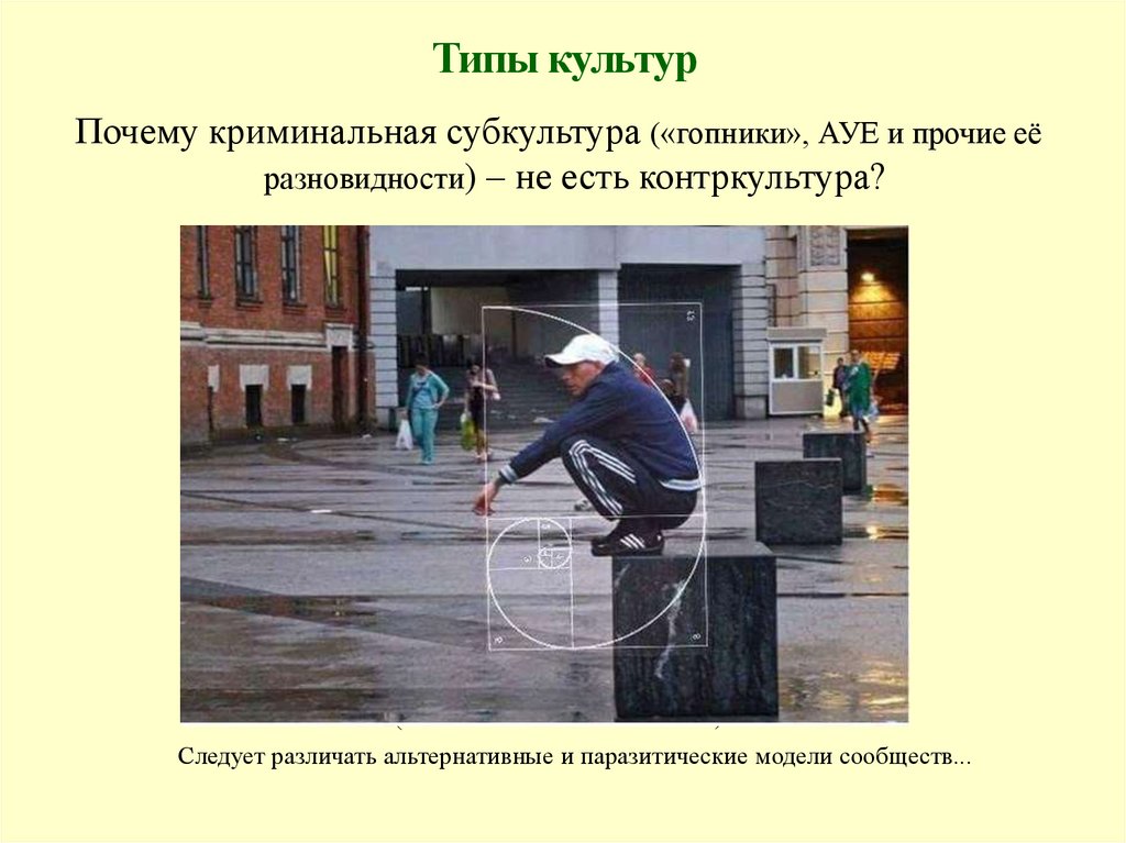 Типы культур