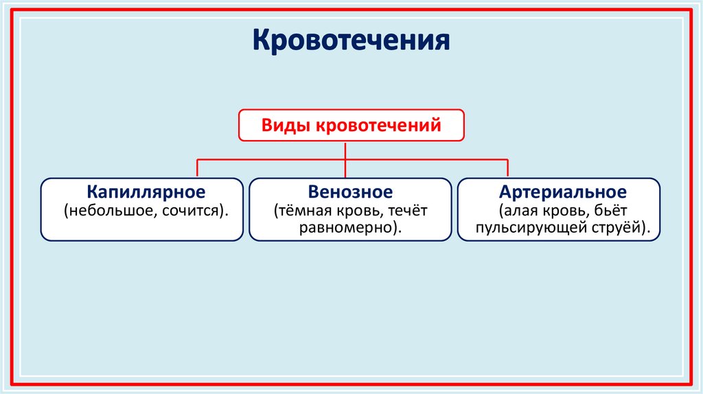 Кровотечения