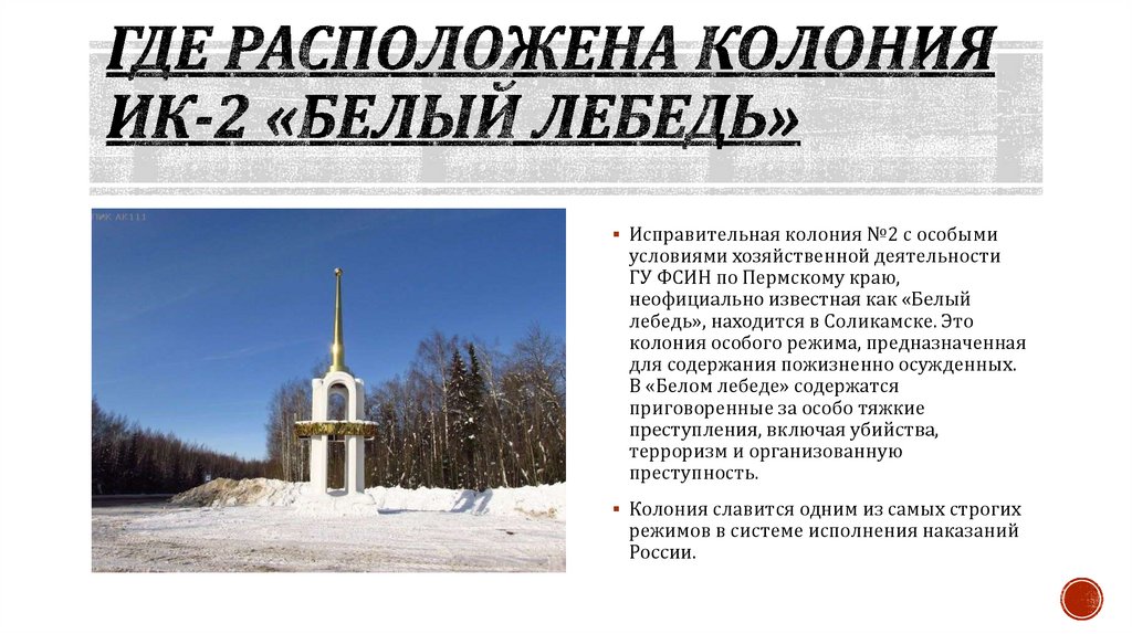 Где расположена колония ИК-2 «Белый лебедь»