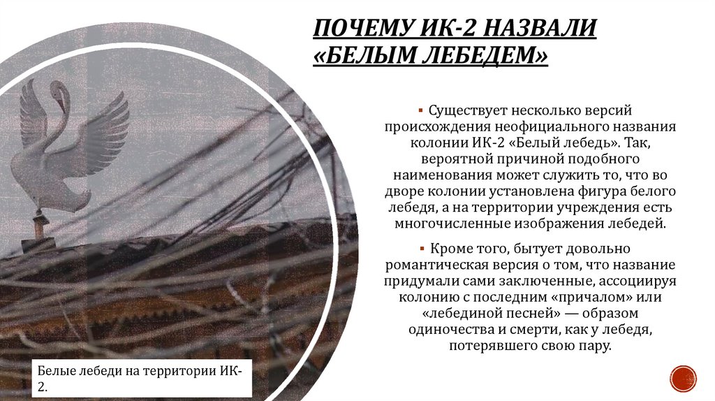 Почему ИК-2 назвали «Белым лебедем»