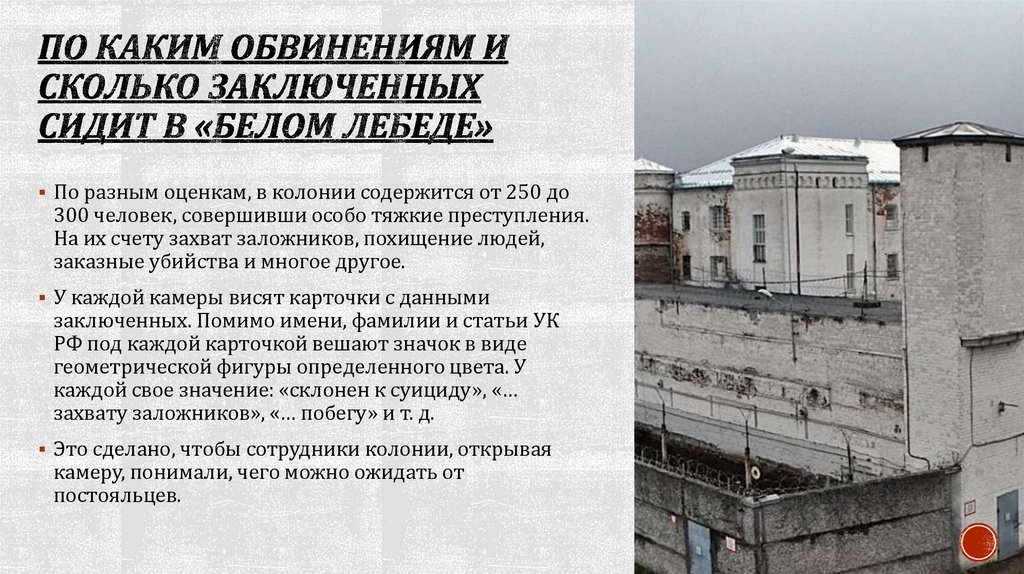 По каким обвинениям и сколько заключенных сидит в «Белом лебеде»