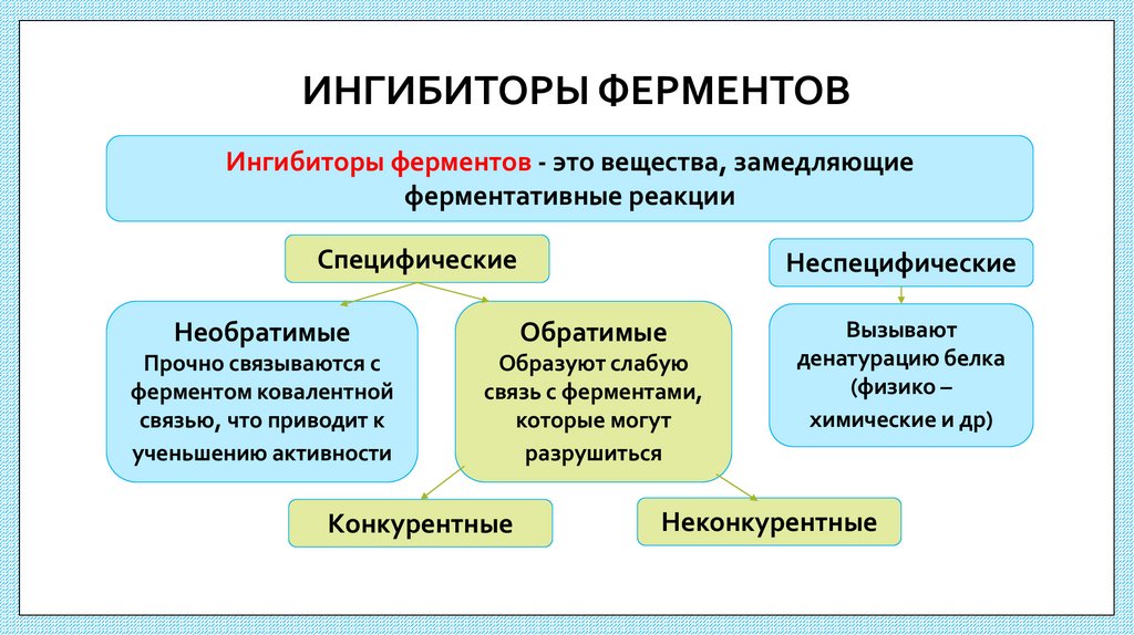 ИНГИБИТОРЫ ФЕРМЕНТОВ