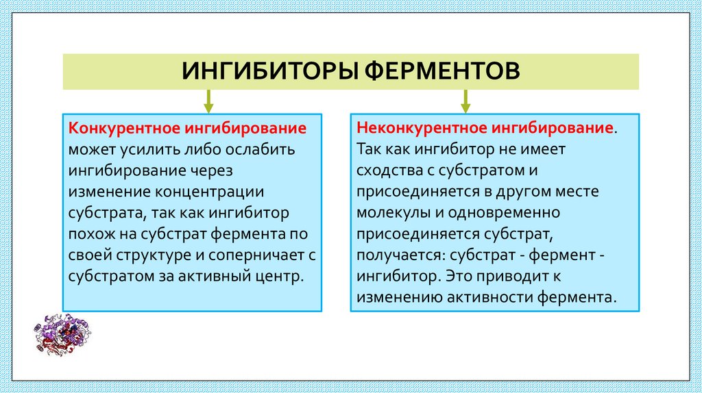 ИНГИБИТОРЫ ФЕРМЕНТОВ