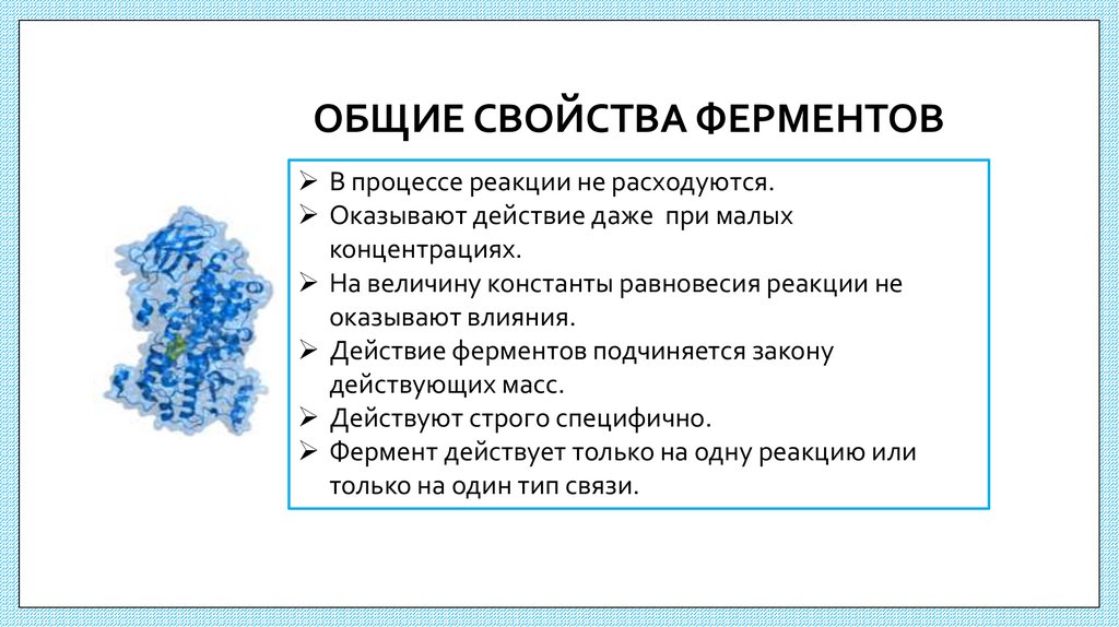 ОБЩИЕ СВОЙСТВА ФЕРМЕНТОВ