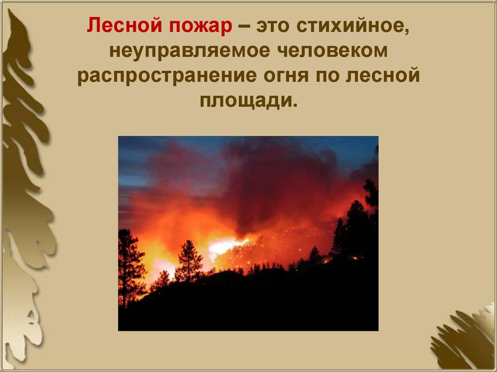Лесной пожар – это стихийное, неуправляемое человеком распространение огня по лесной площади.