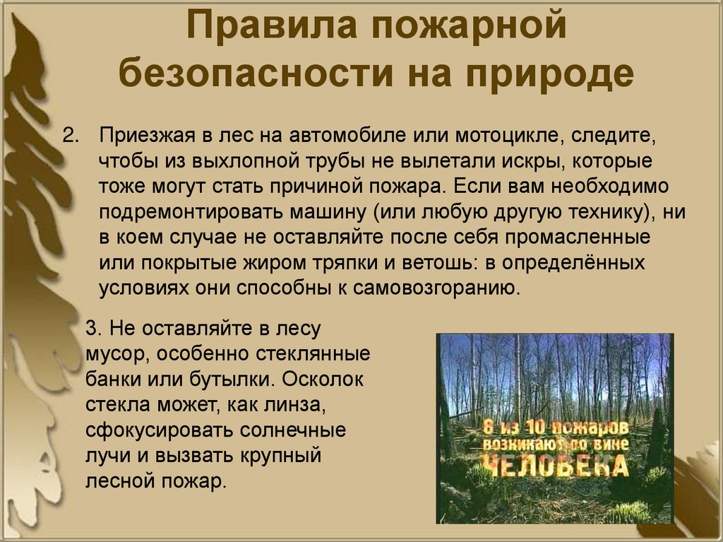 Правила пожарной безопасности на природе
