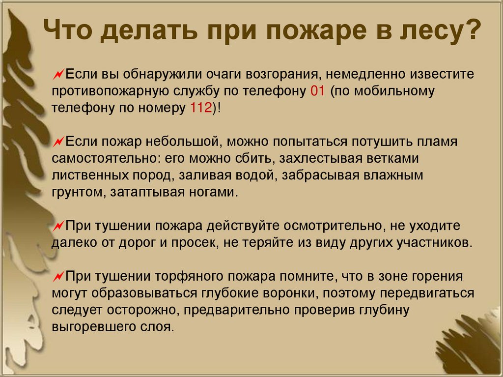 Что делать при пожаре в лесу?