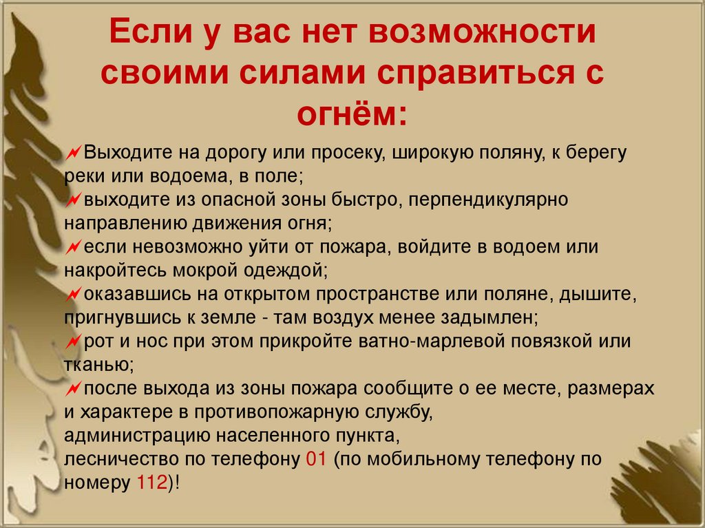 Если у вас нет возможности своими силами справиться с огнём: