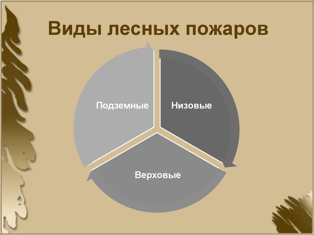 Виды лесных пожаров