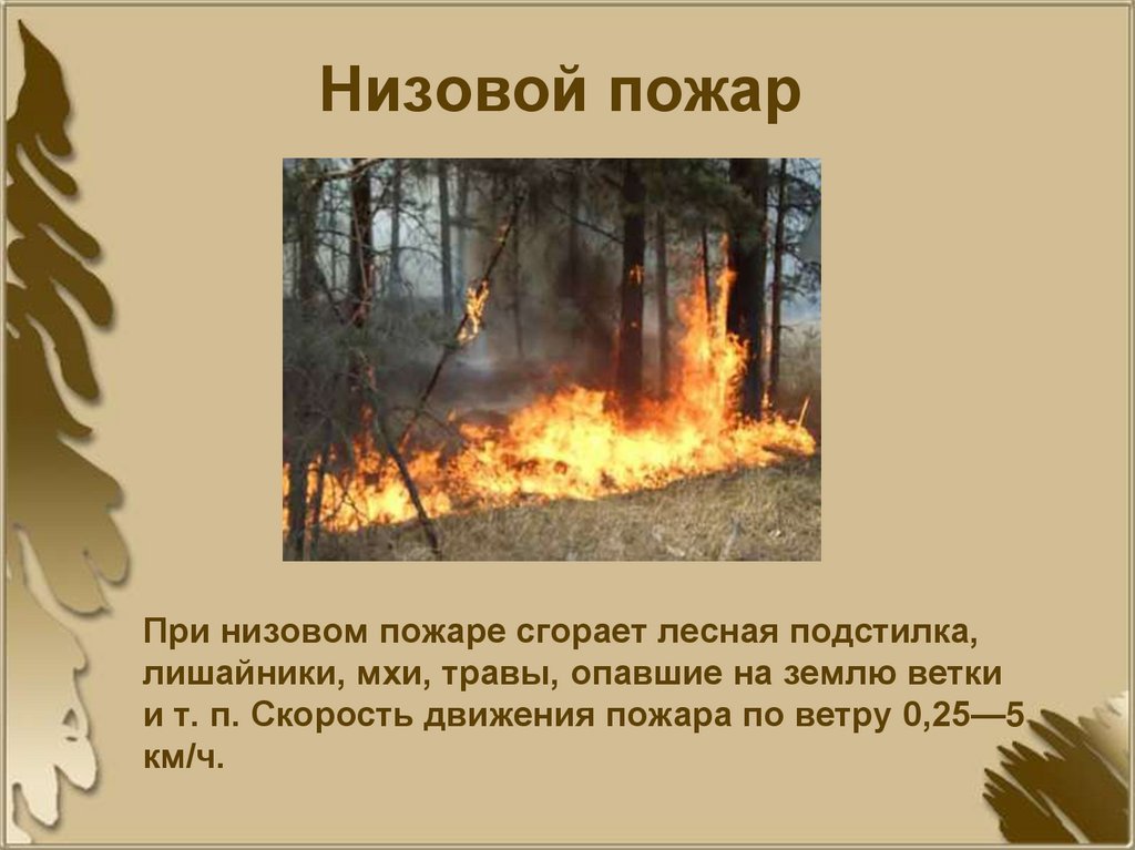 Низовой пожар