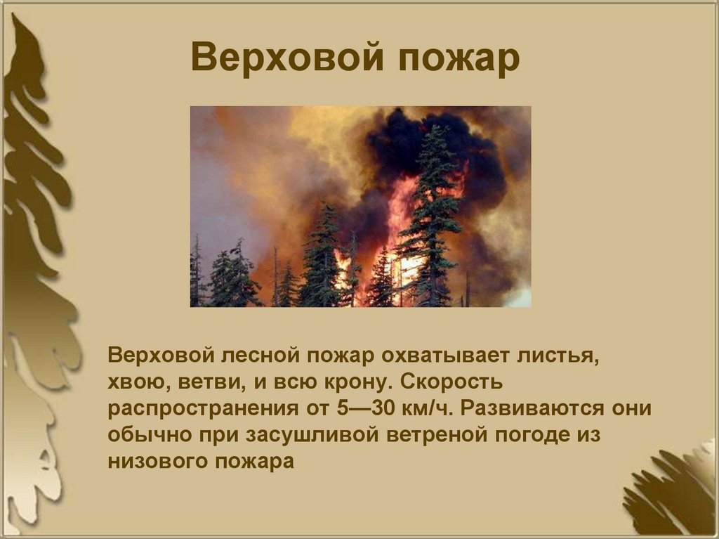 Верховой пожар