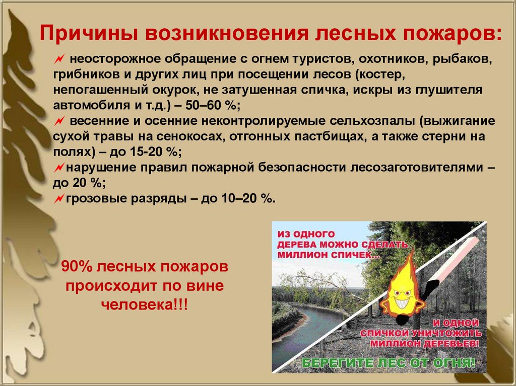 Причины возникновения лесных пожаров: