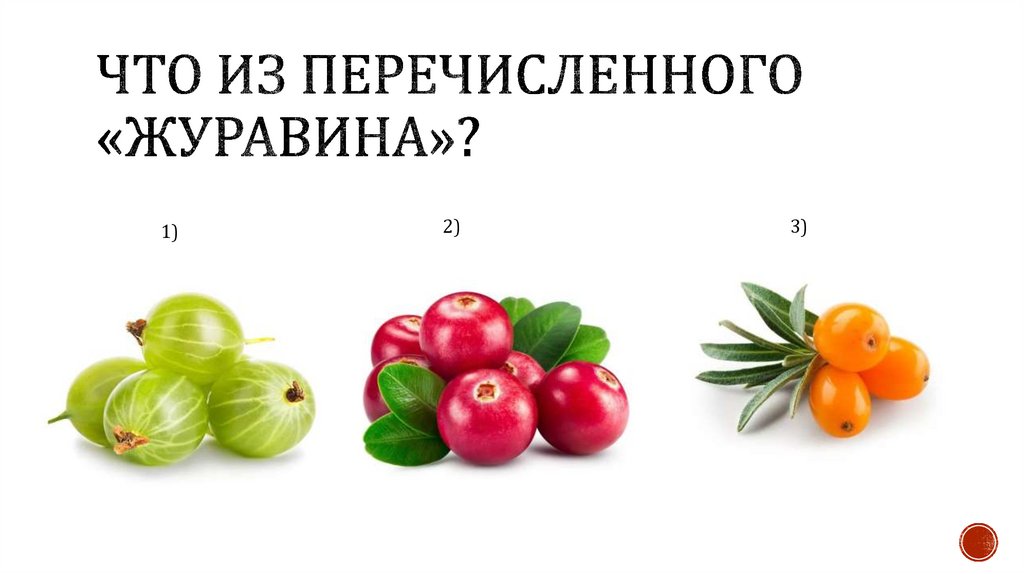 Что из перечисленного «журавина»?