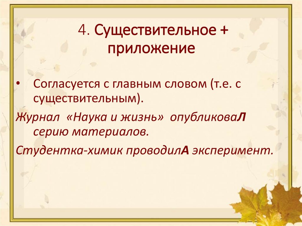 4. Существительное + приложение