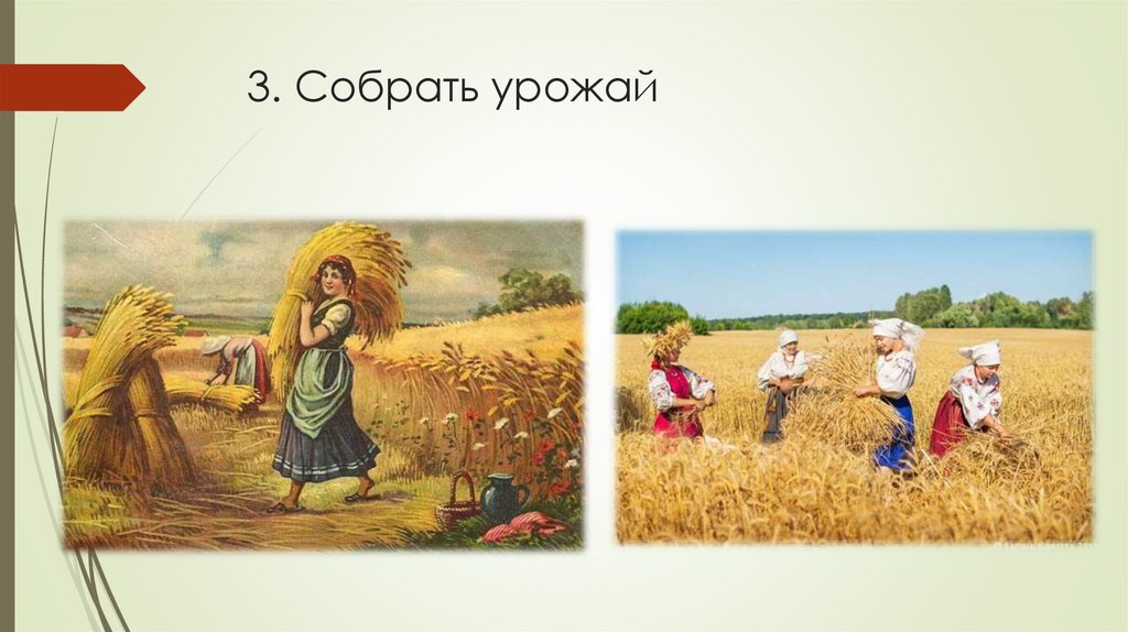 3. Собрать урожай